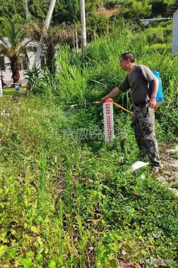 直埋光缆除草_直埋光缆厂家排名_傲杀工业除草剂