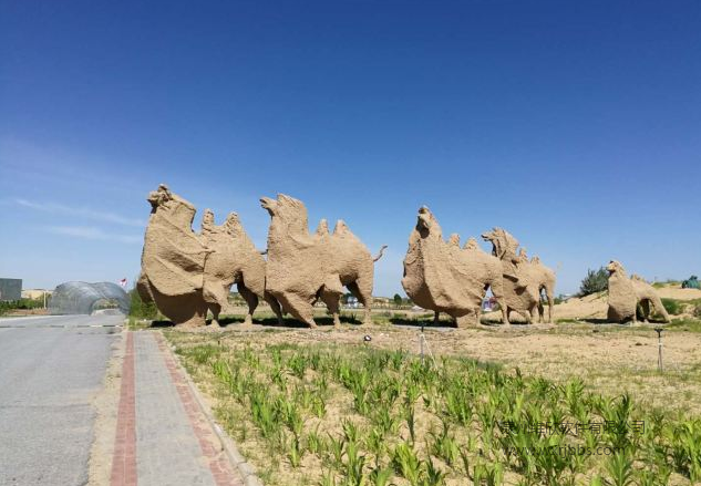 宝古图沙漠旅游区
