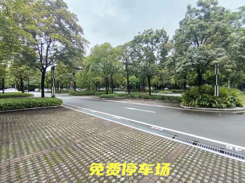 1716345840389886.jpg