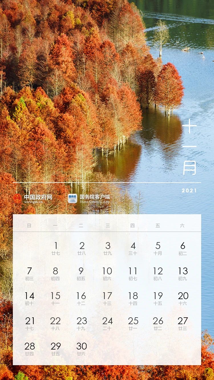 1606321767619386.jpg