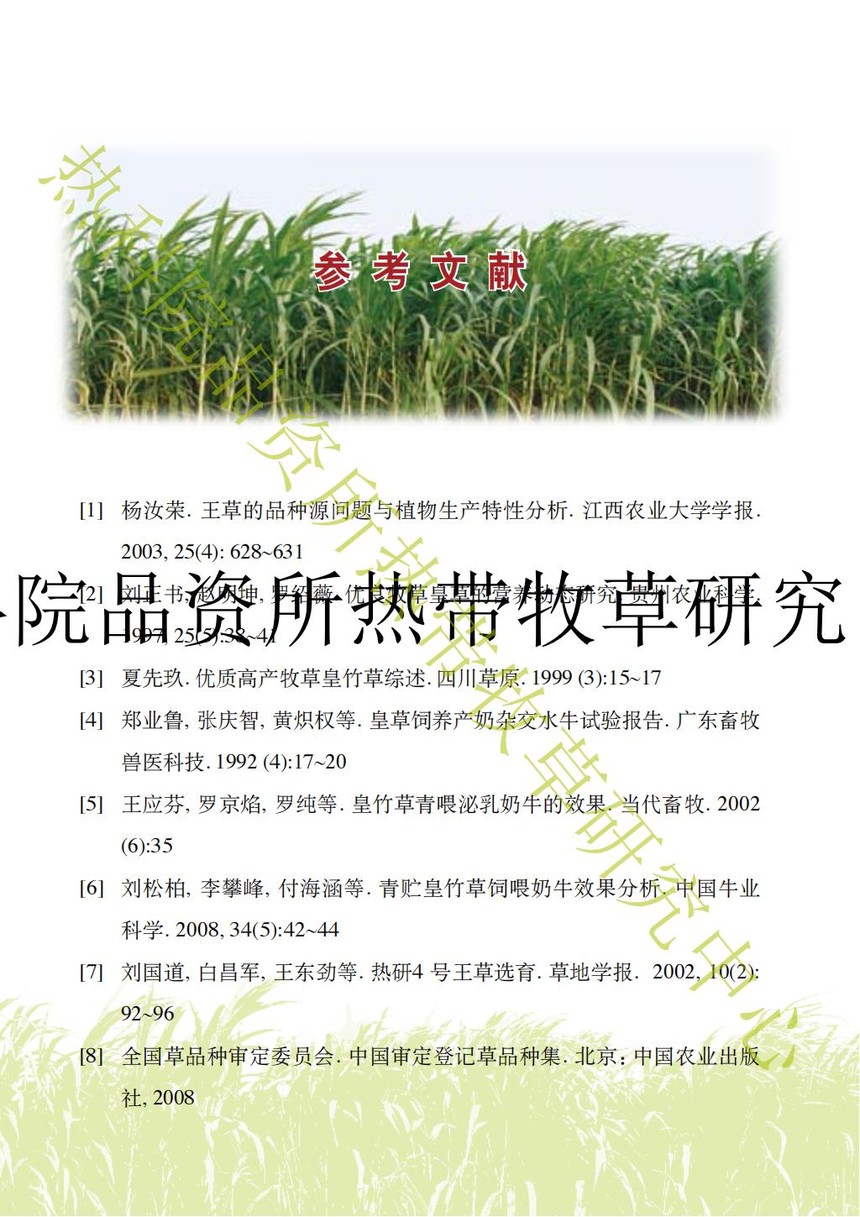 热研4号王草图片