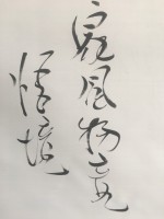 ԰ﾺ-