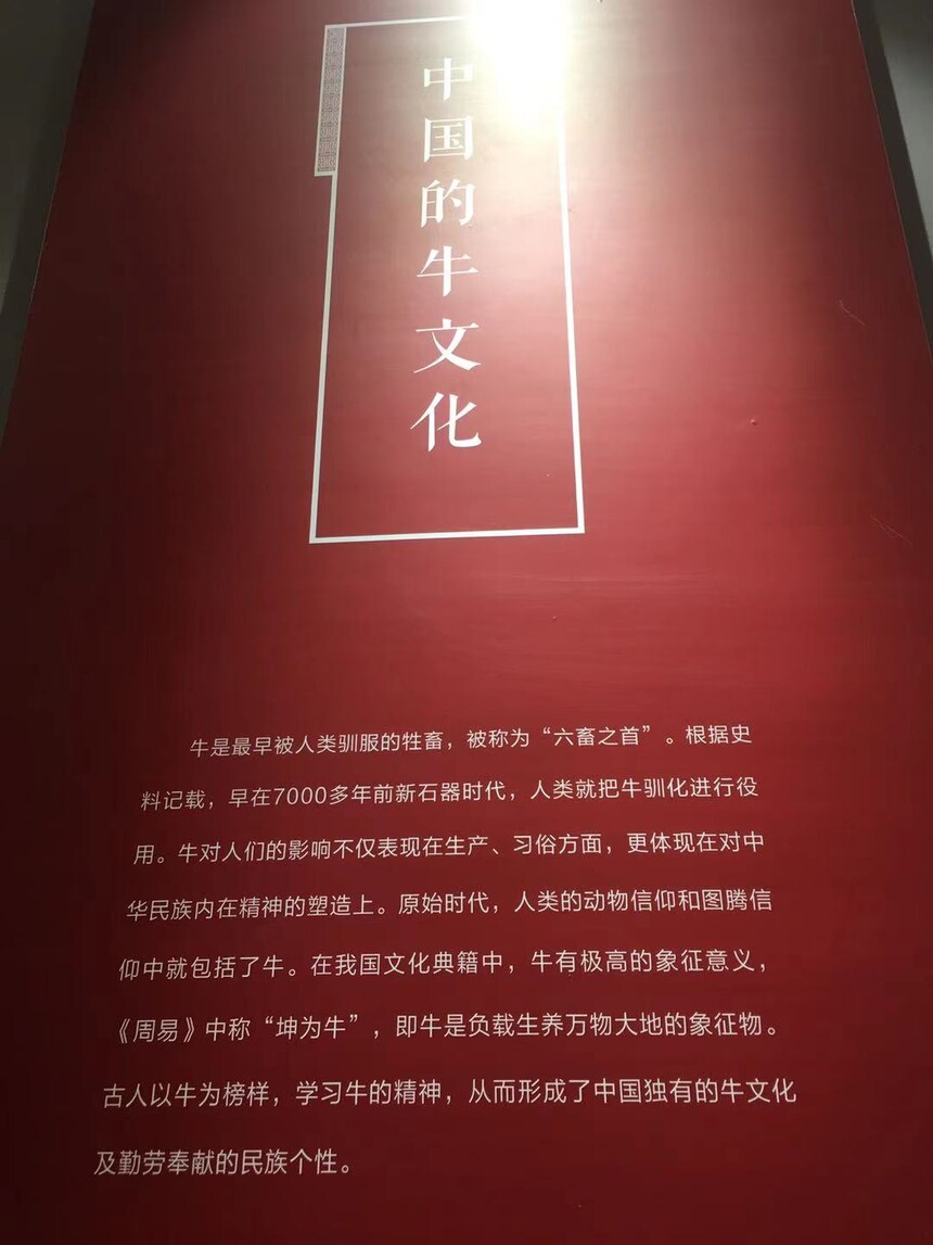 1615799164490868.jpg 博牛5.jpg