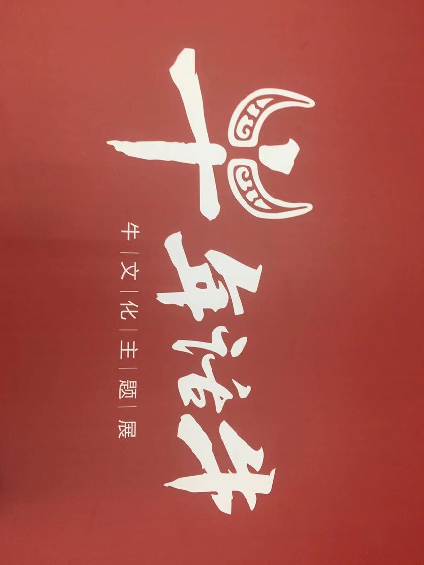 1615805426287367.jpg