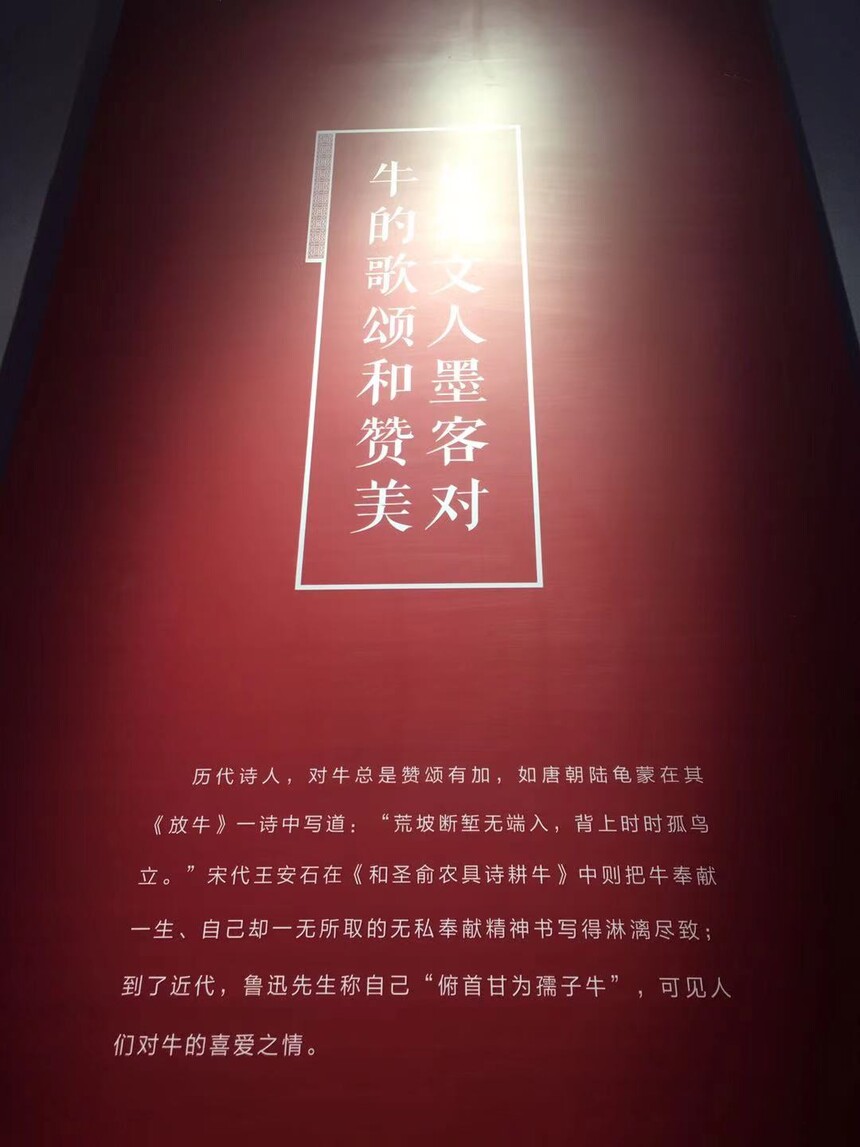 1615813277897120.jpg 博牛30.jpg