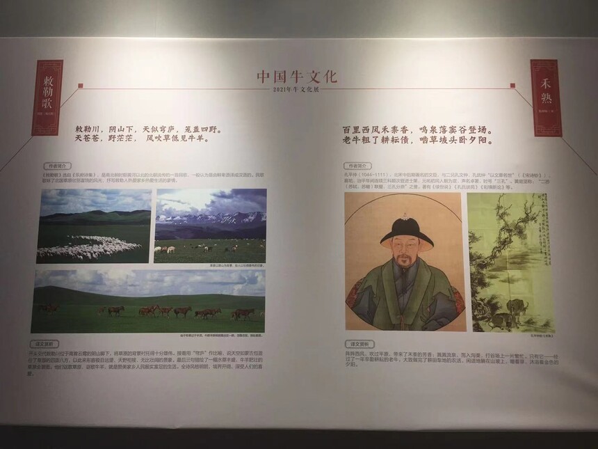 1615813683998555.jpg