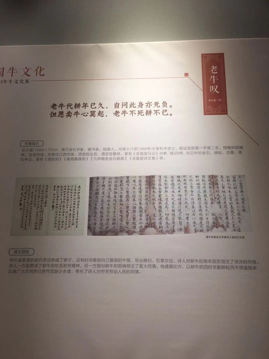 1615814514725960.jpg