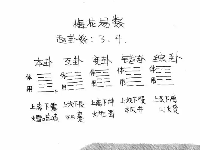 1746973111320887.jpg 2.jpg
