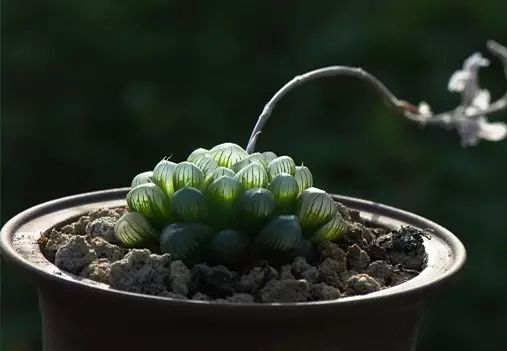 640 (11).jpg