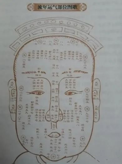 18fa4d99558fe8aa519a66605e24e5c.png
