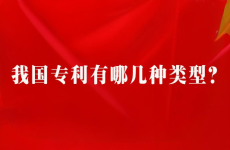 我国专利有哪几种类型?