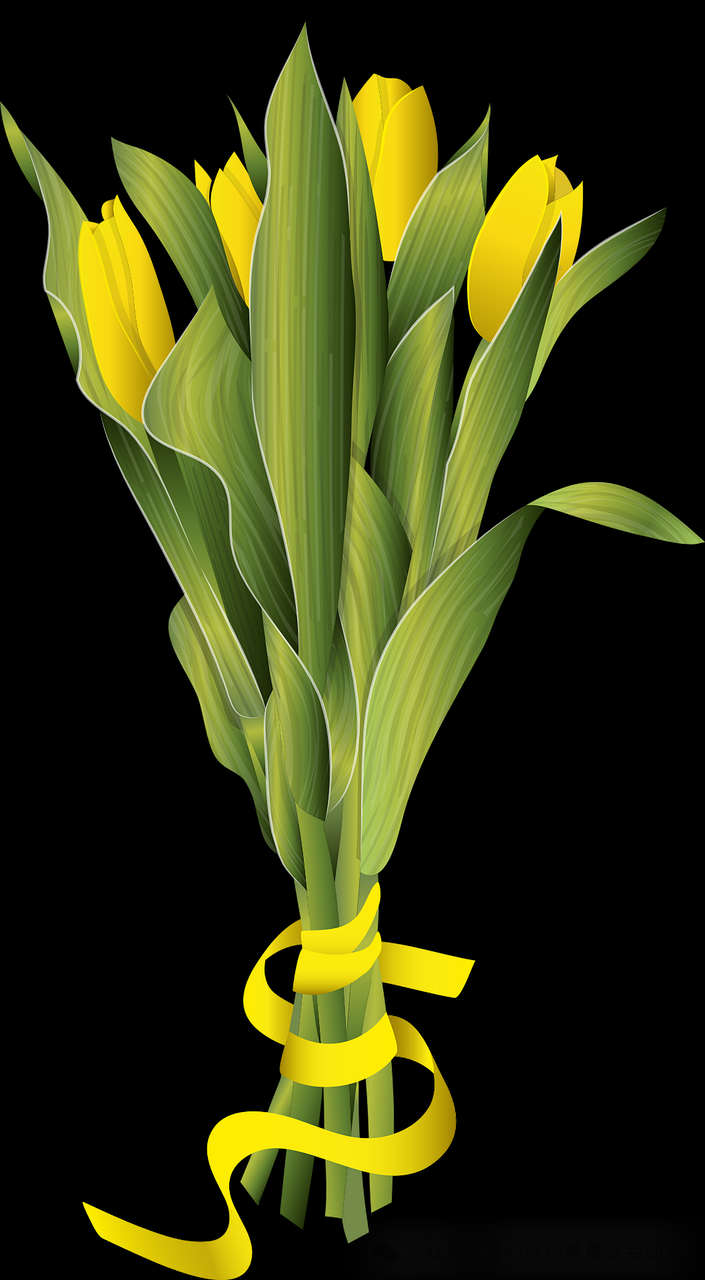 9.png