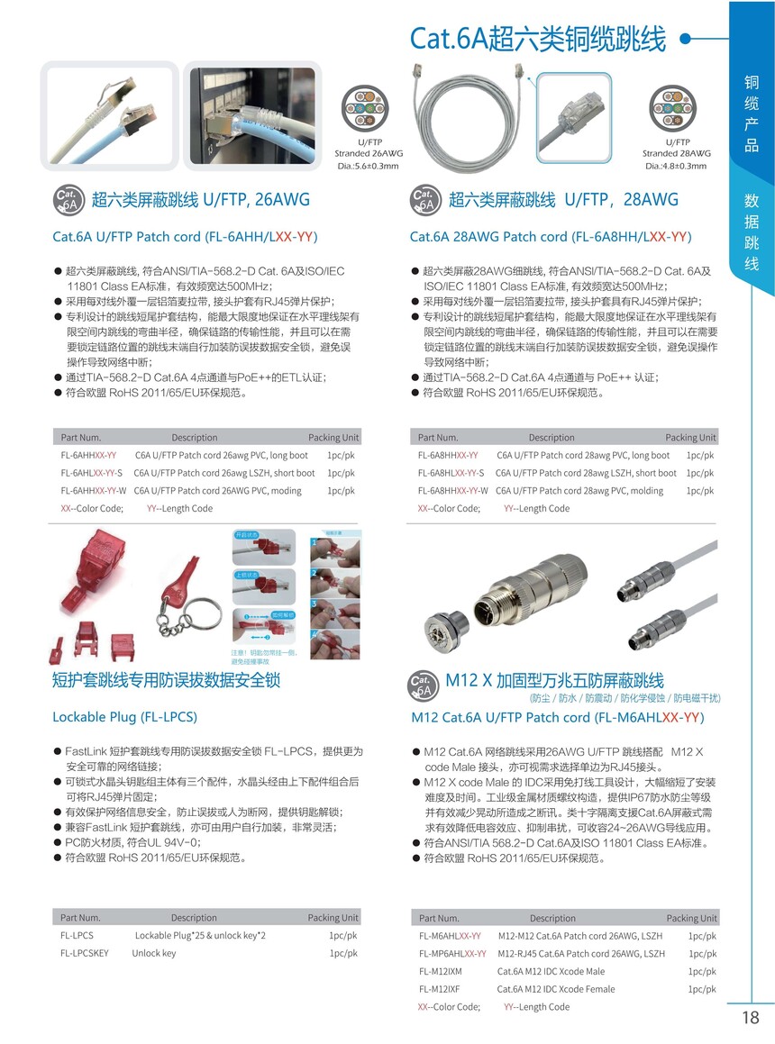 FastLink 2025ȵƷֲ21.jpg
