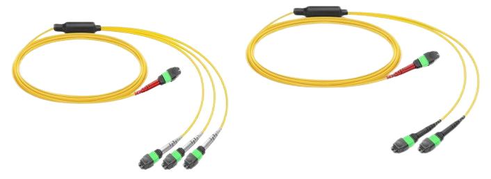 MPO Conversion Cord 02(1).png
