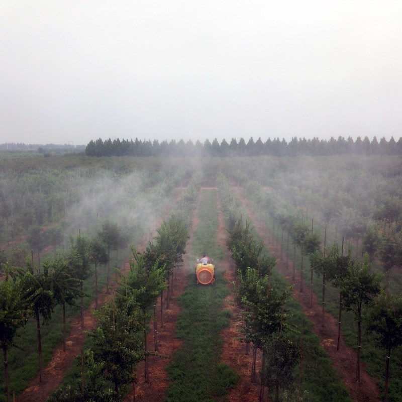 DJI_0047.jpg