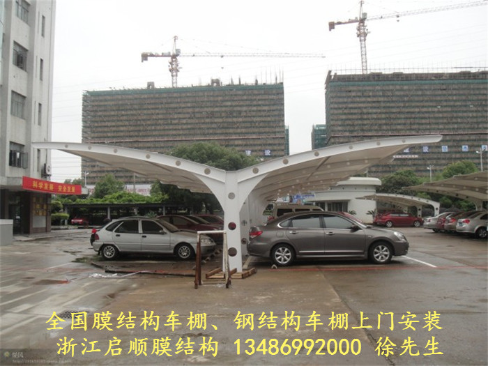 2012070301432975064_.jpg