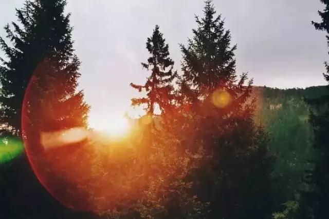 全球《华人名人名家》群陈永安:卿语者:人生的最高境界,就一个字