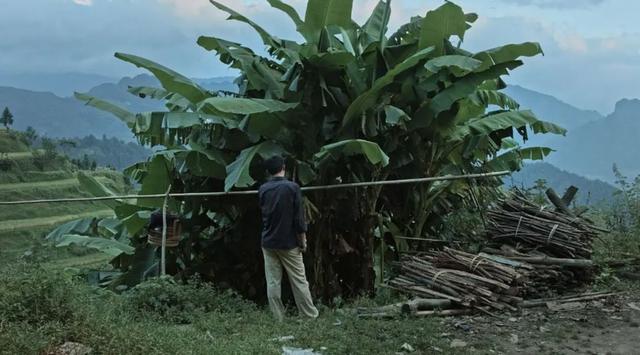 1582856663758670.jpeg 一度,《路边野餐》成为了文艺青年的评定标准。.jpeg