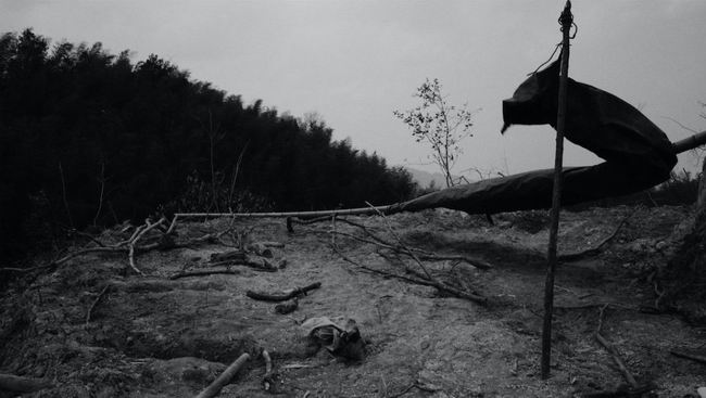 1583406985737900.jpg 4.jpg