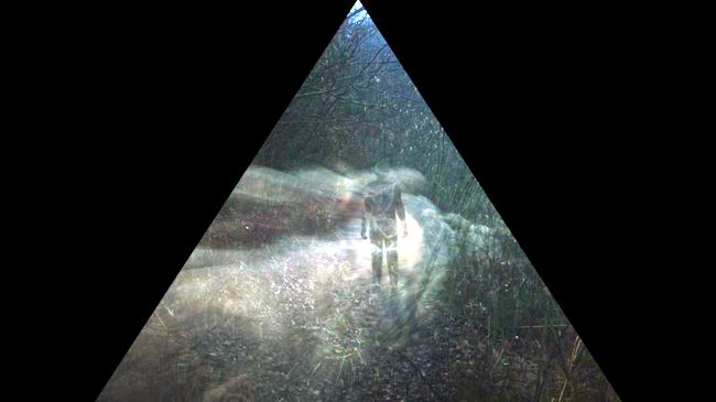 1583410610980300.jpg 14.jpg