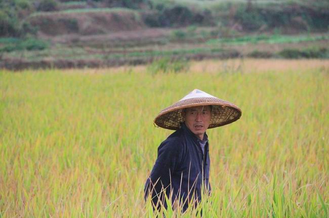 1583411179608090.jpg 3.jpg