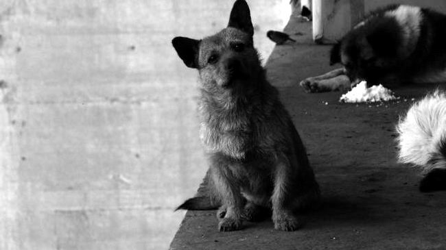 1583413671700894.jpg 7.jpg