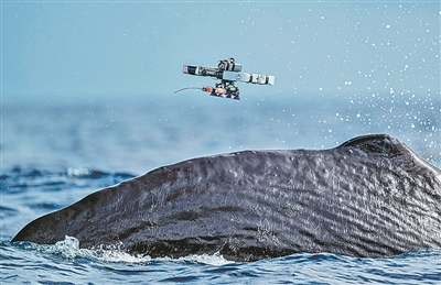 1764463230336210.jpg 2025101415593328075.jpg