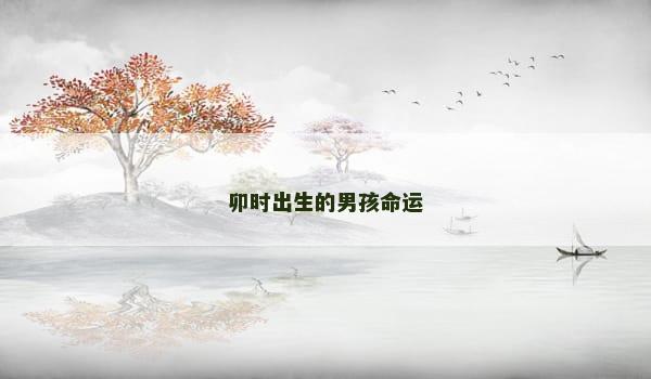 1743260333201716.jpeg 674d0cfe8bc51.jpeg