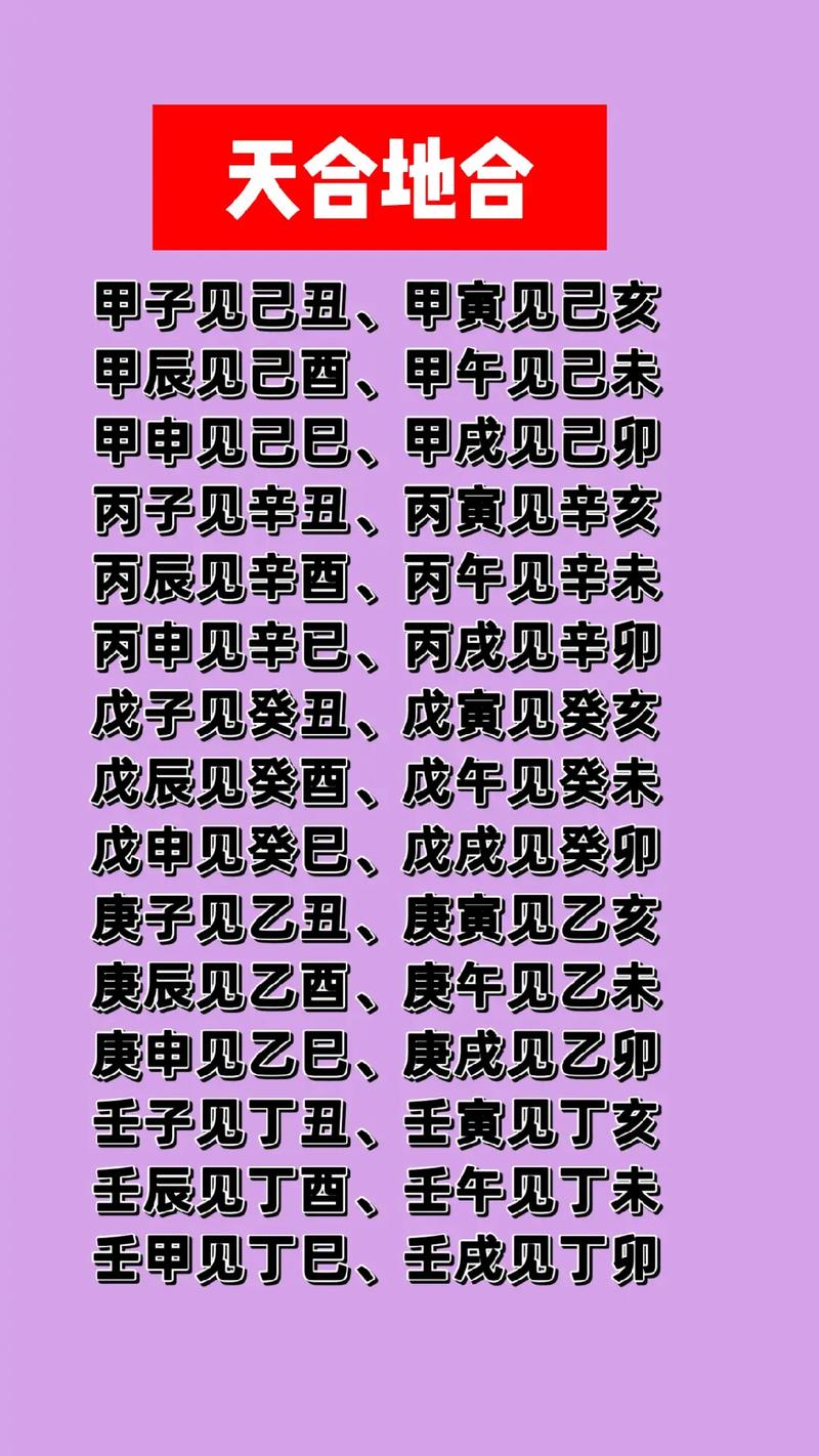 1744775065383398.jpg 5.jpg