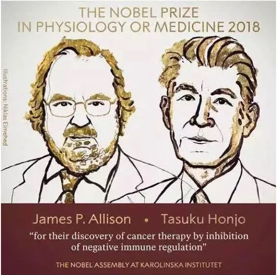 asuku HonjoڡAllison.jpg