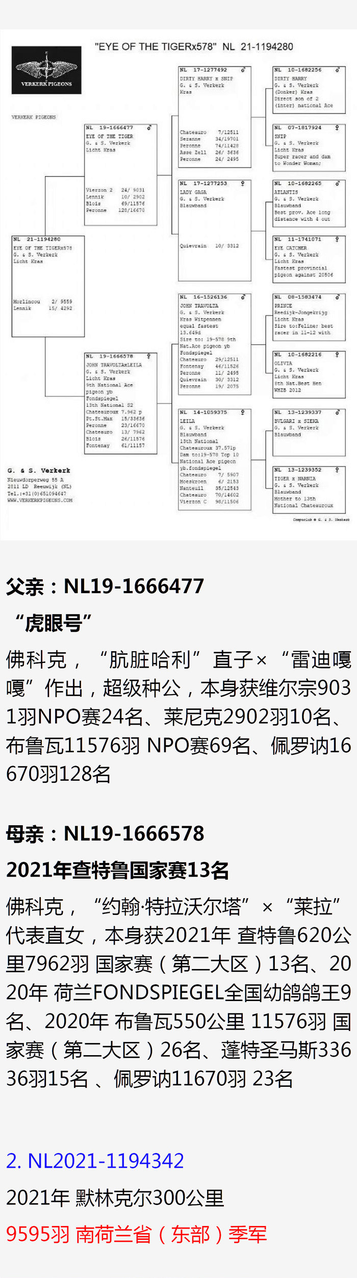 ����_01-2.jpg