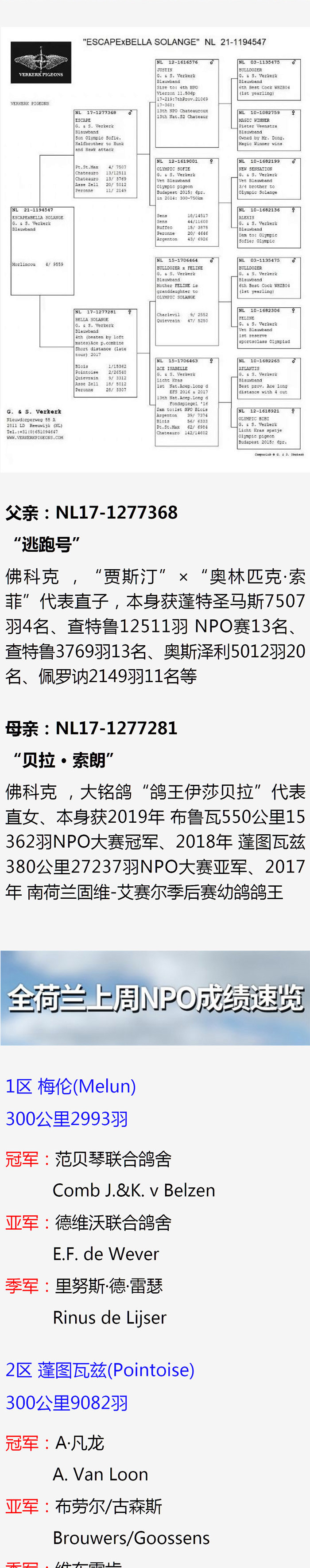 ����_02-2.jpg