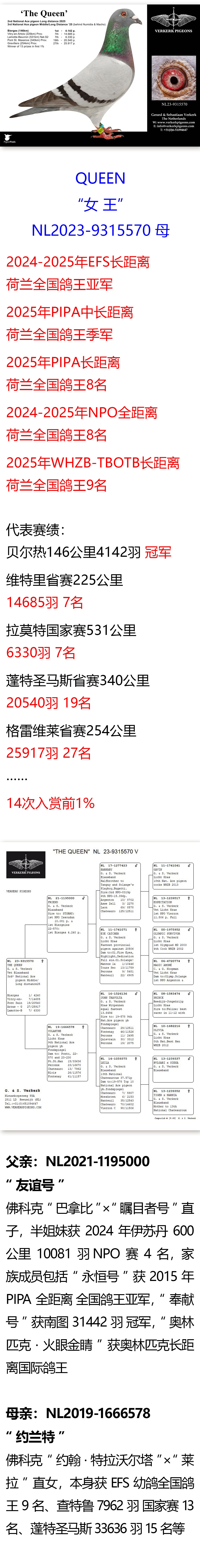 5-5Ů�� ����.jpg