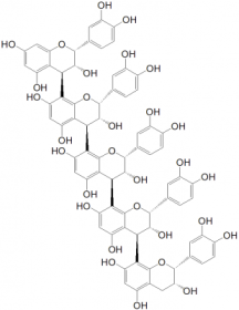 ԭE (EEEEE) Procyanidin Pentamer E (EEEEE)