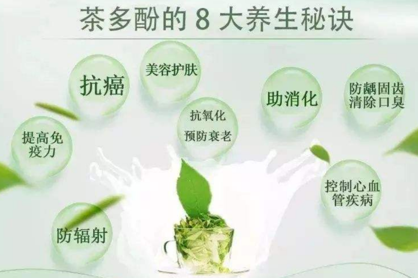 茶多酚.png