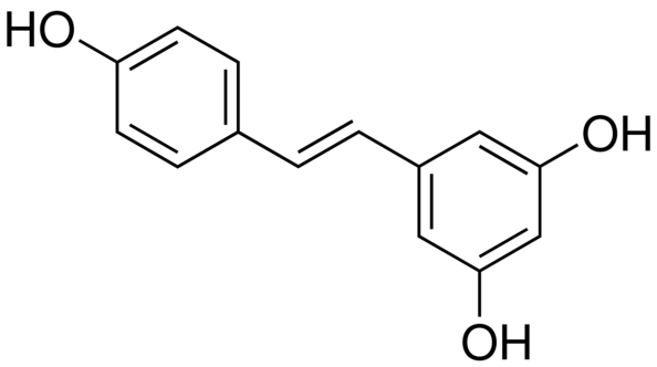 1676505211910244.png