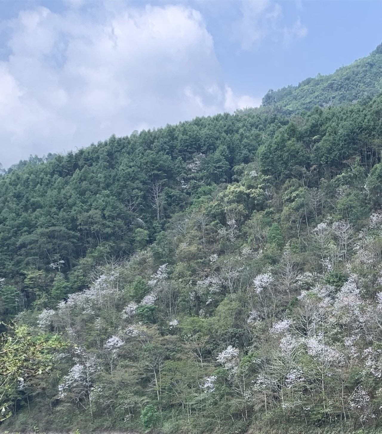 ΢��ͼƬ_20191118185641.jpg