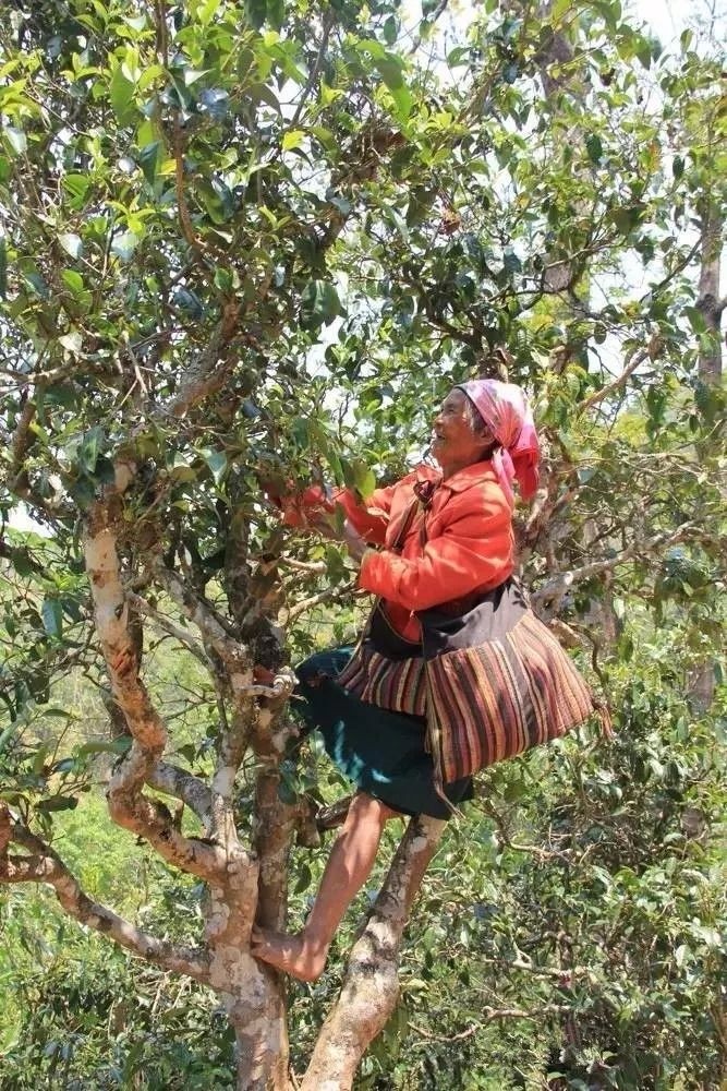 1574667959413216.jpg 微信图片_20191125154501.jpg