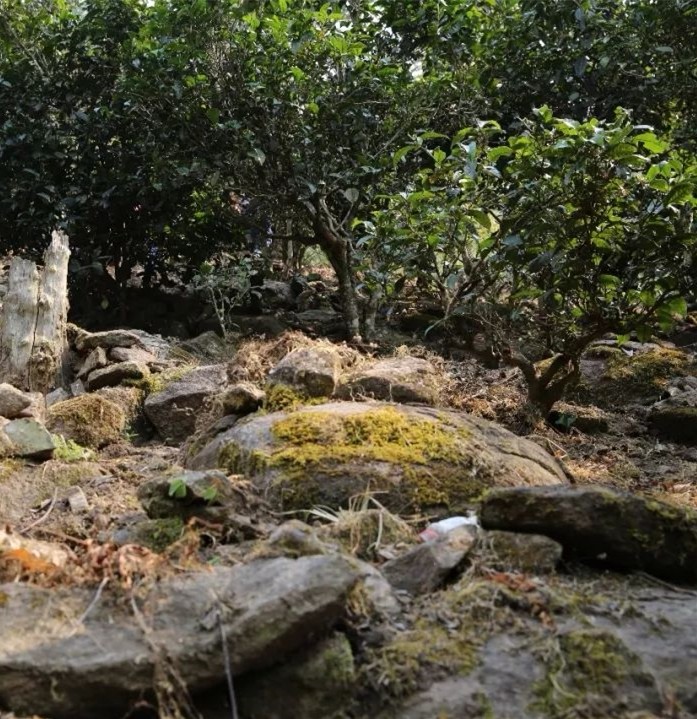 1574668145717888.jpg 微信图片_20191125154520.jpg