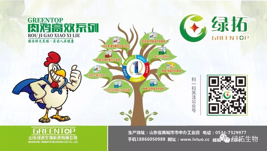 1570495774811217.jpg 肉雞.webp.jpg