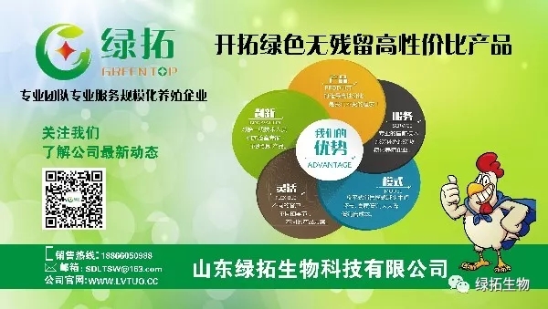1570495796758037.jpg 綠色.webp.jpg