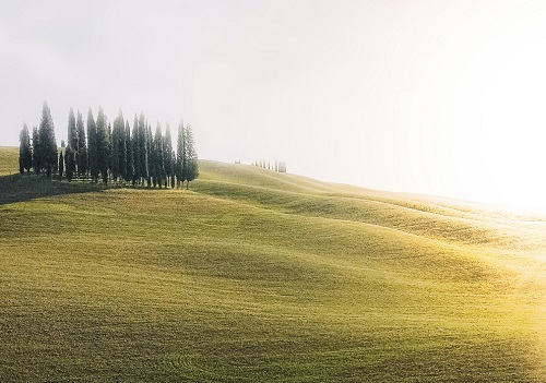 1635951702493408.jpg pexels-pat-whelen500.jpg