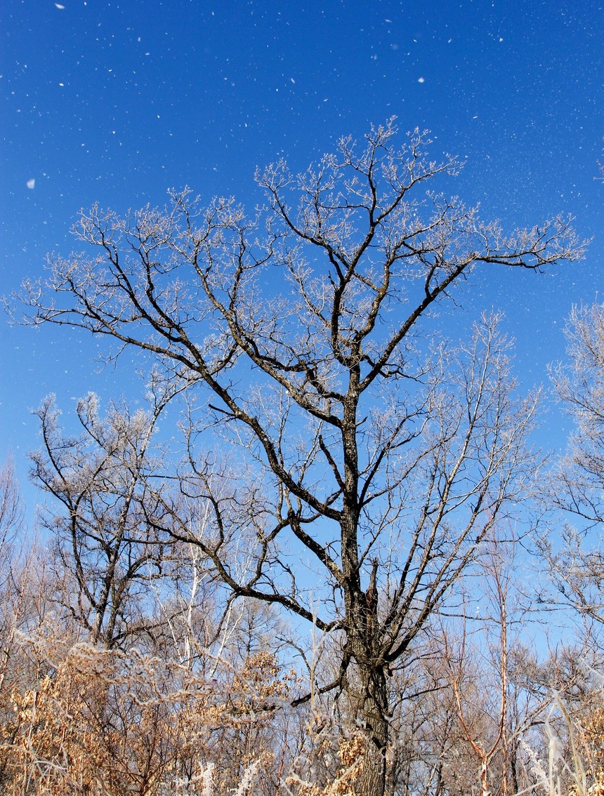 1522825143983249.jpg