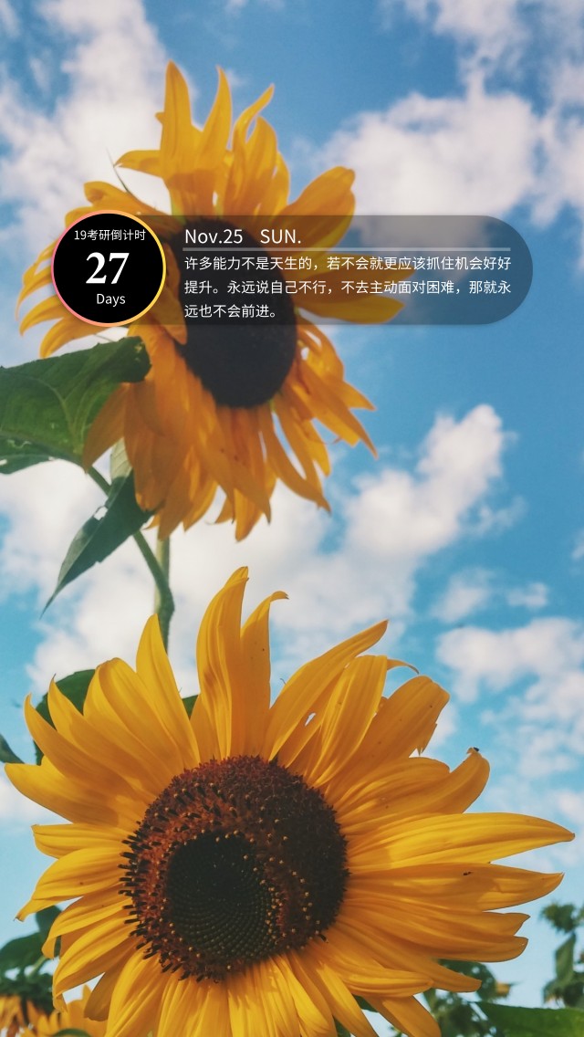 277.jpg