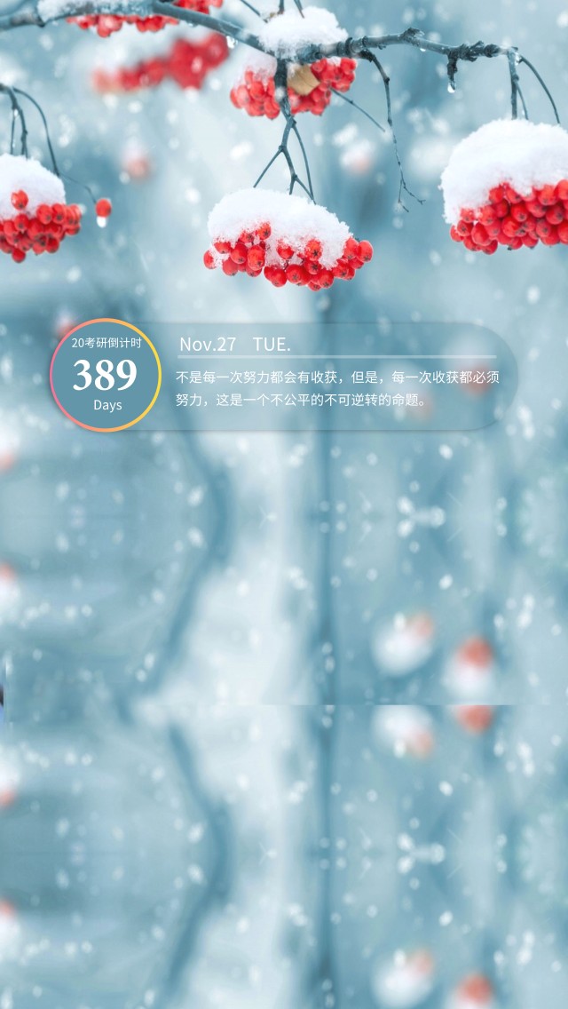 389.jpg