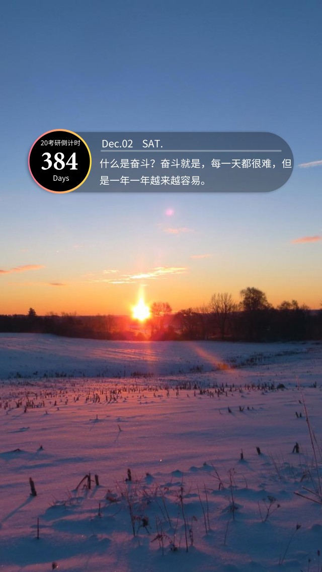 384.jpg