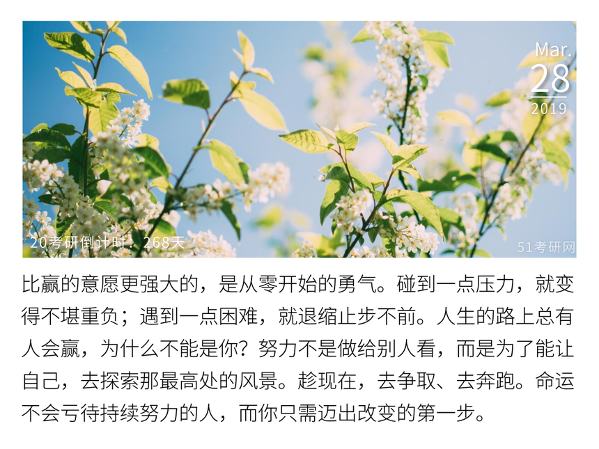 Ĭ�ϱ���_���ں���ͼ(���)_2019.03.27.png