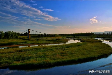 桑干河畔山阴湿地公园风光旖旎河面波光粼粼众鸟飞舞翠柳